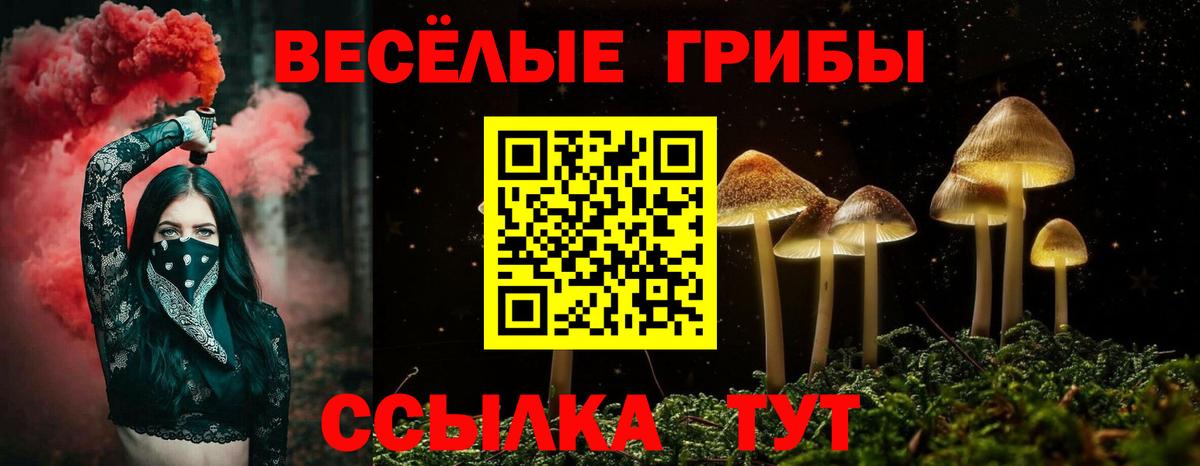 хочу   Псилоцибиновые грибы прущие грибы  Рыбинск  Вход с VPN  Галлюциногенные грибы Magic Shrooms 